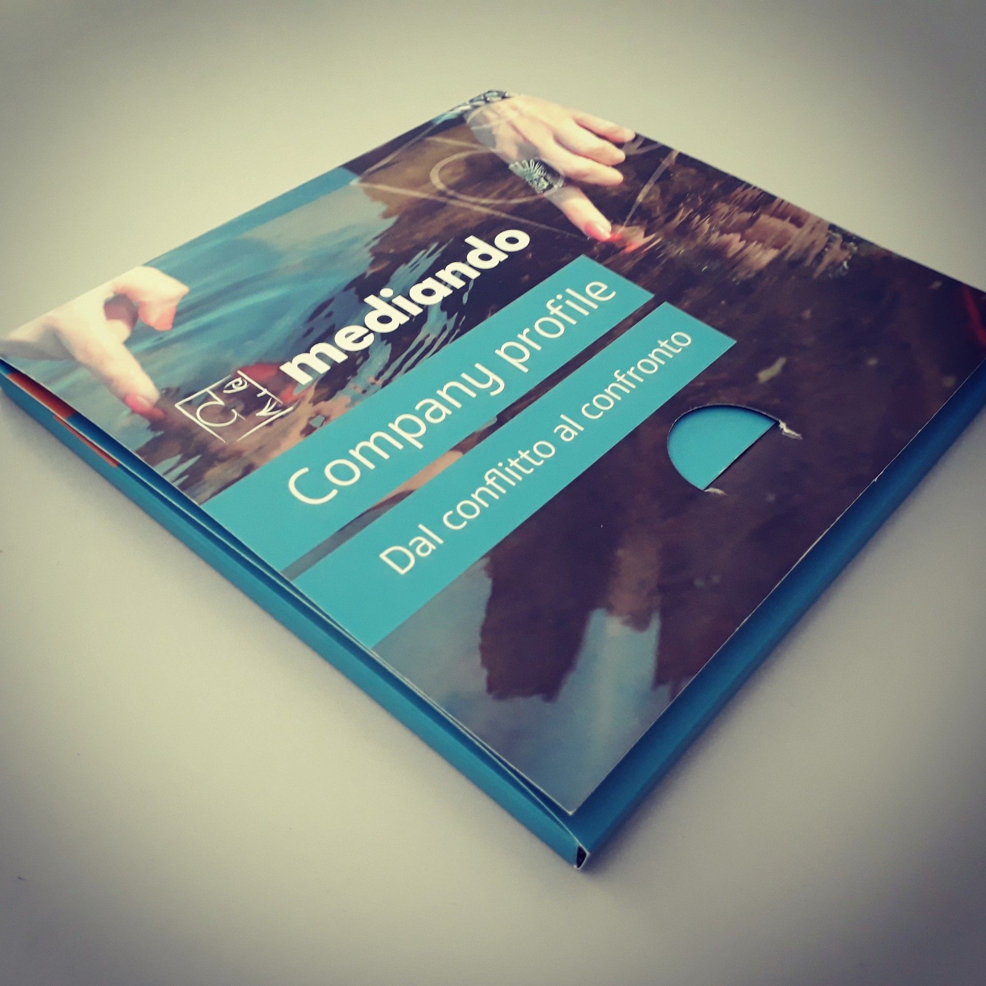 mediando company profile